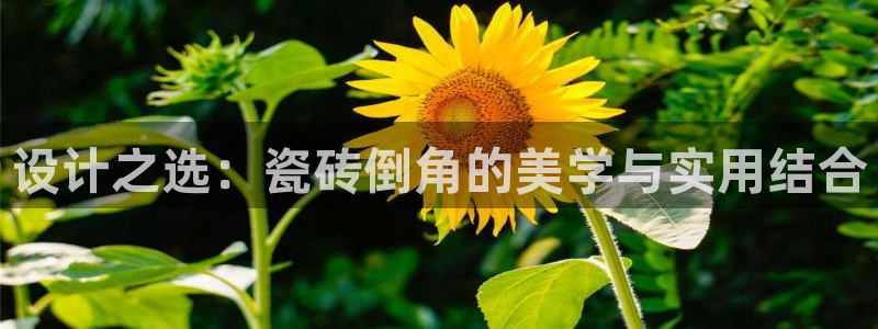 富联娱乐主管研判官333OO