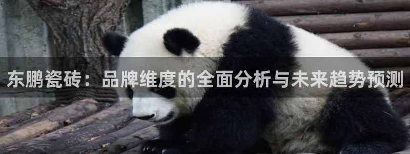 富联娱乐吧