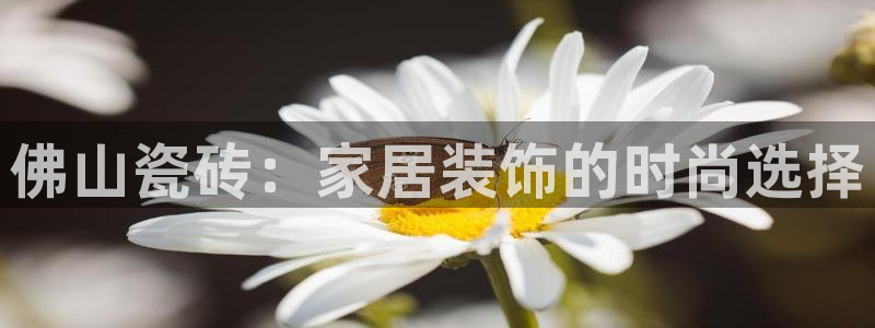 富联娱乐代理是谁开的