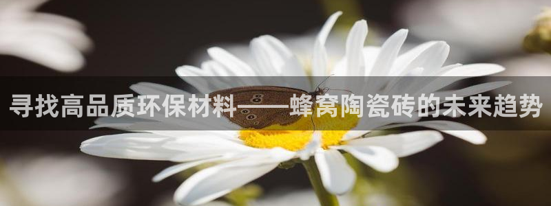 富联娱乐总裁简介资料