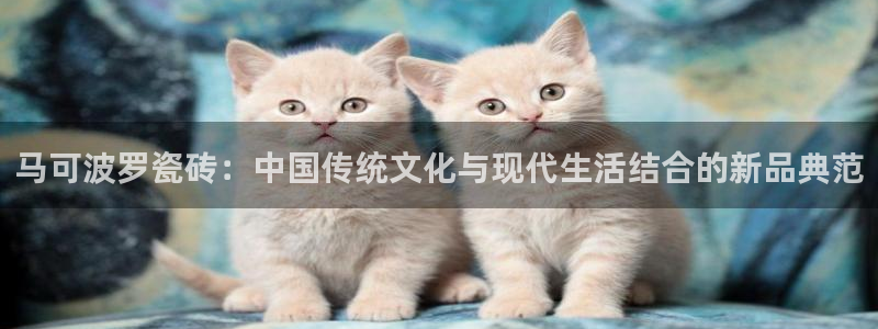 富联娱乐资讯官网首页