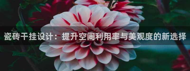 富联娱乐2853179Z空间