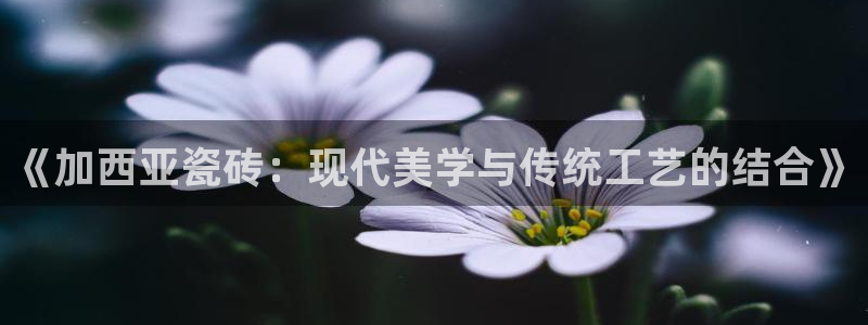 富联娱乐公司简介资料