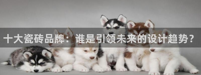 富联娱乐首页在哪看视频