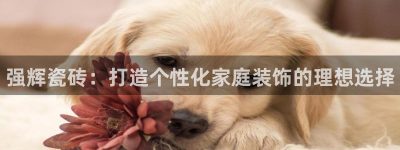 富联娱乐服务站
