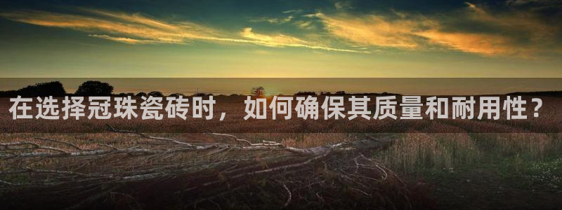 富联2娱乐贴吧官网