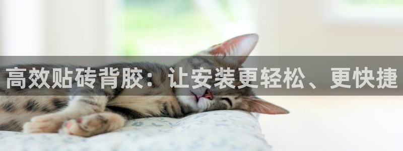 富联娱乐首页官网