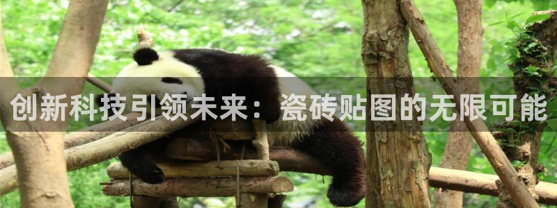 富联娱乐总代理电话地址