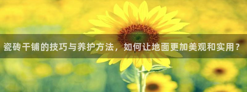 富联娱乐平台登录不了账号