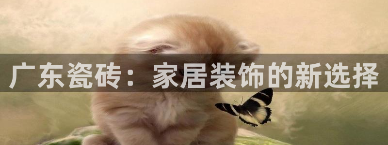 富联娱乐官网下载安卓