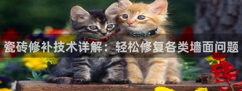 富联娱乐与67五壹叁八