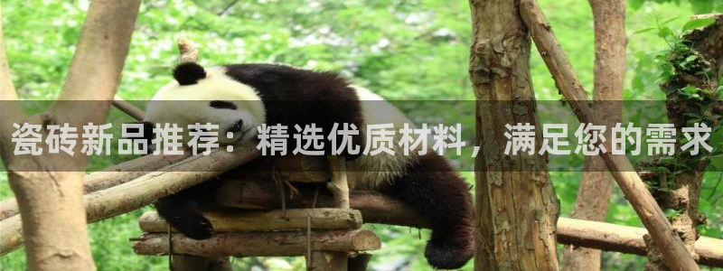 富联娱乐认酒威判官333OO