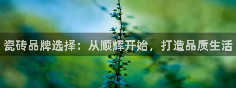 富联娱乐资金盘