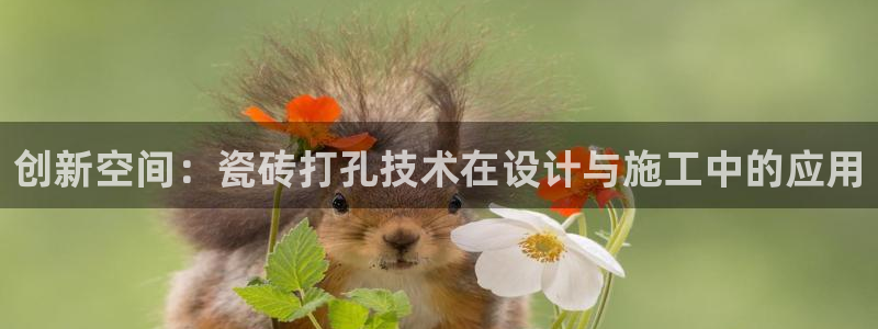 富联娱乐首页网址大全