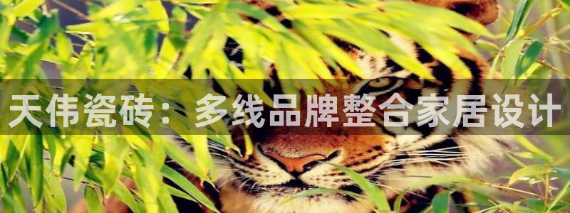 富联娱乐主管是谁呀图片