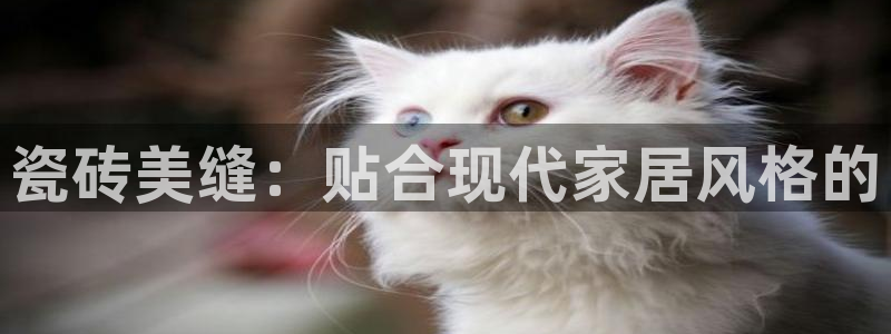 富联娱乐代理是谁的