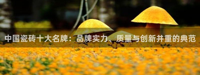 富联娱乐官方网站首页登录