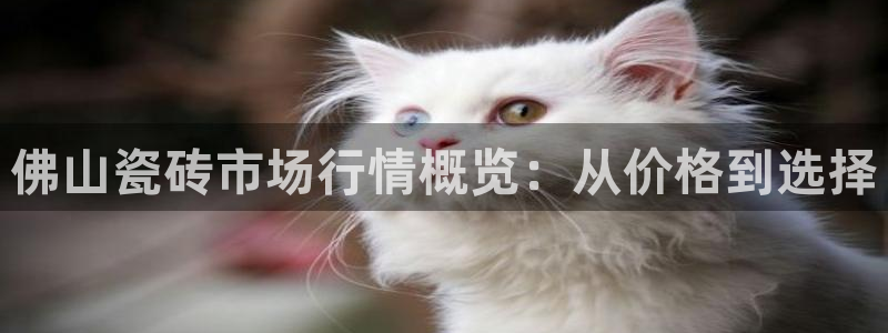 富联娱乐招商左原判官333OO