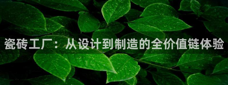 富联娱乐发展历程简介