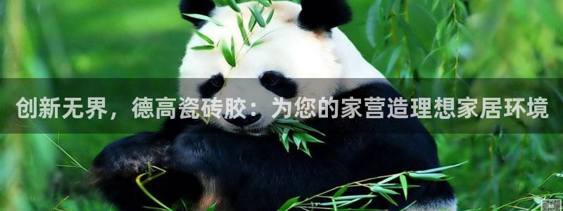 富联娱乐总裁简介图片