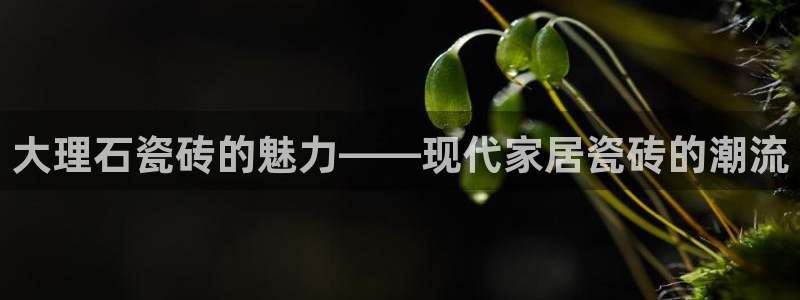 富联娱乐代理是谁