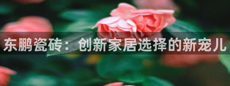 富联娱乐真的吗