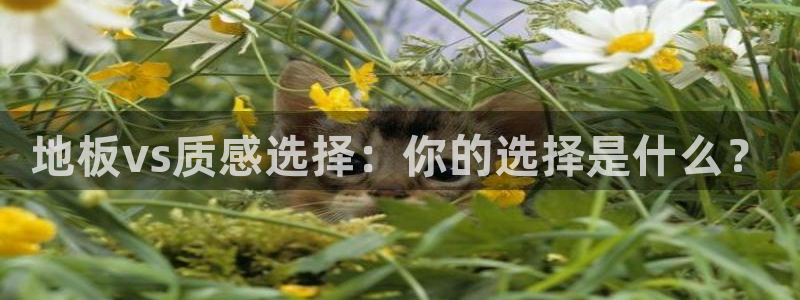 富联娱乐勺67五壹叁八