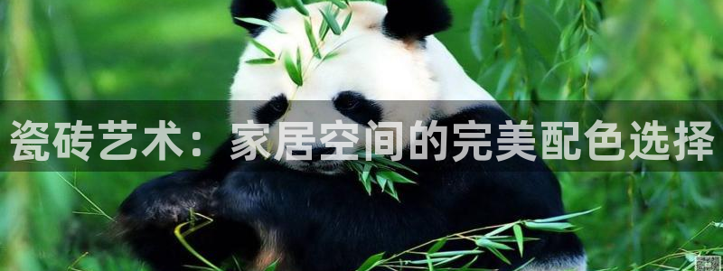 富联娱乐注册定唐老鸭779O3