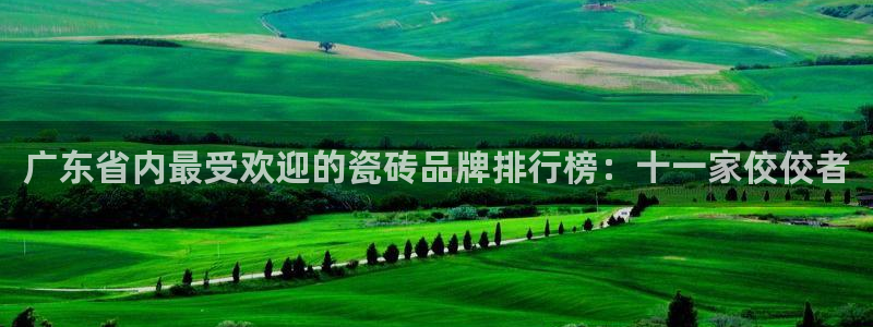 富联娱乐总裁简介图片高清