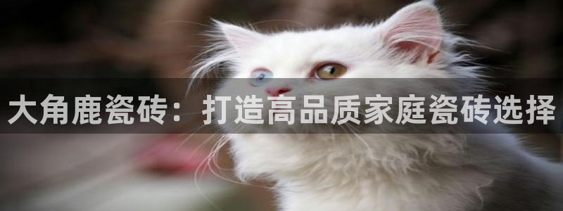 富联2娱乐贴吧最新消息