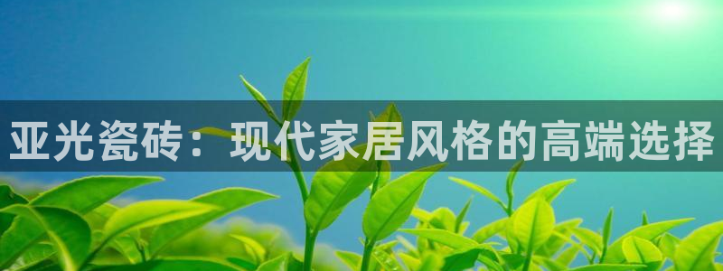 富联娱乐公司简介资料