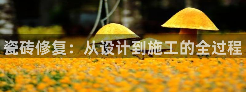 富联娱乐开户流程图片