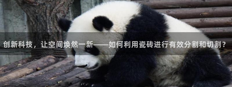 富联娱乐开户流程