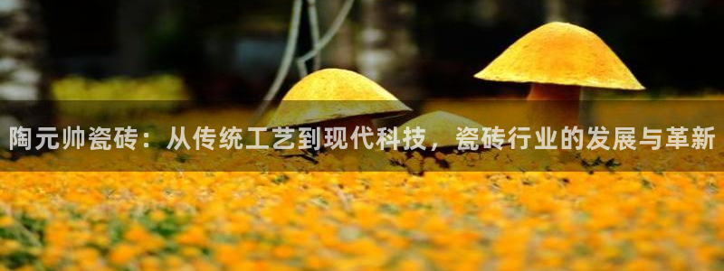 富联娱乐账号注册不了