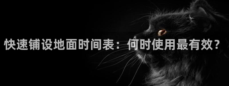 富联娱乐元哥53551