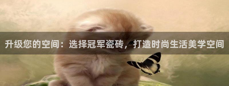 富联娱乐主管是谁呀