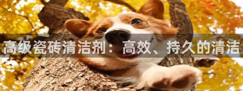 富联娱乐注册教判官333OO