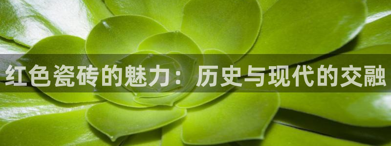 富联娱乐开户条件要求