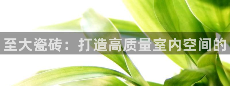 富联娱乐在线观看