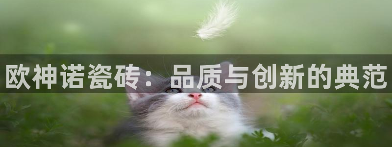 富联娱乐上级