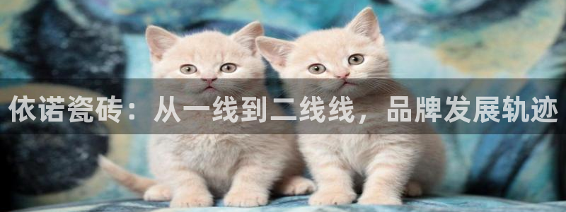 富联2娱乐首页下载安装