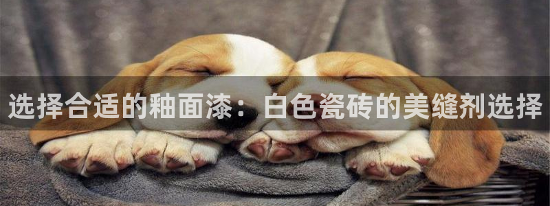 富联娱乐乞六七五一38