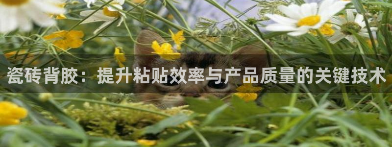 富联娱乐首页在哪看视频