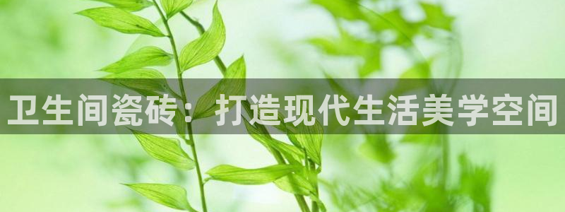 富联娱乐发展历程图