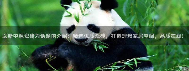 富联娱乐测速登录不上